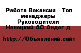 Работа Вакансии - Топ-менеджеры, Руководители. Ненецкий АО,Андег д.